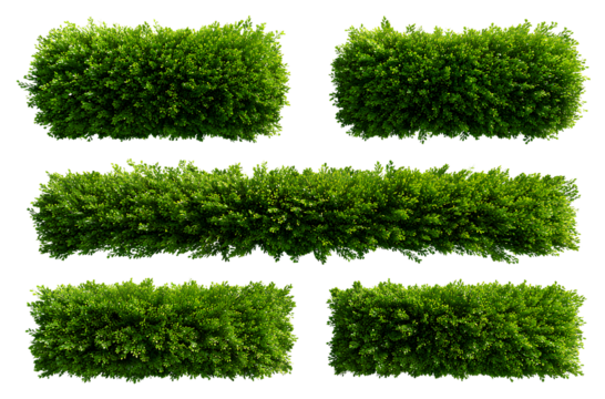 Set of realistic green bushes in the form of horizontal bars, isolated on a transparent background