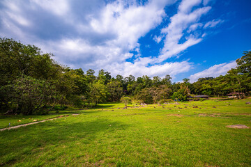 Fang hot spring Chiang Mai Thailand. scenic view of a natural hot spring emitting steam in a lush tropical forest. The vibrant greenery, blue sky, and traditional wooden structures in the background