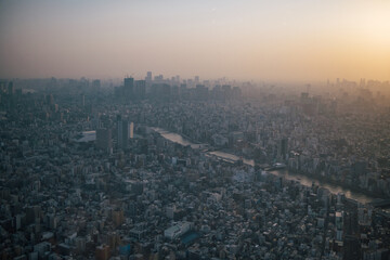 Fototapeta premium Skyline of Tokyo from Skytree