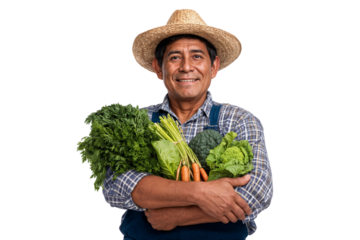 Senior male farmer holding fresh vegetables and smiling confidently, isolated on transparent background