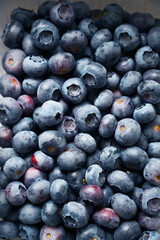 Blueberries close-up. Harvested in August.