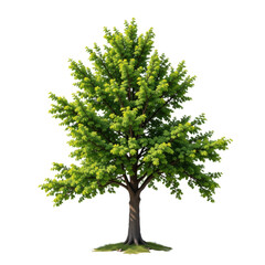 Fototapeta premium Growing Green Tree in a Serene Natural Landscape Vibrant Foliage Captivating Viewpoint Eco-Friendly Concept