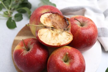 Spoiled apple and good ones on white table, closeup