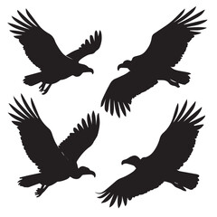 Flying Vulture Bird Silhouette Collection