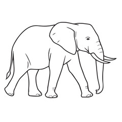 Obraz premium Walking Elephant Outline Illustration