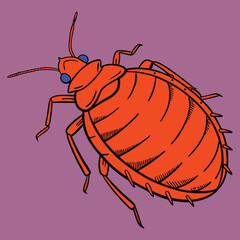 Set of enlarged bed bugs