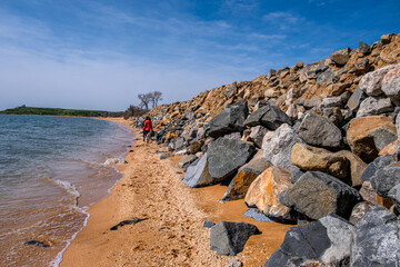 People with a dog walk along the rocky seashore in summer.