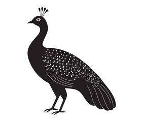 Obraz premium Cute peacock silhouette vector