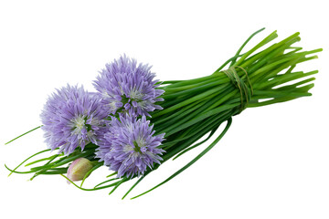 Fototapeta premium Bundle of fresh chives with blooming purple flowers, isolated on black.