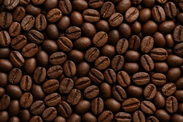 Fototapeta premium A close-up of richly roasted coffee beans, showcasing their uniform shape and smooth texture