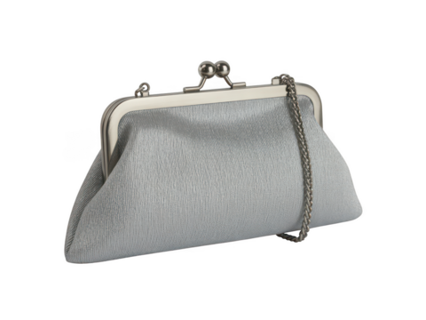 Elegant vintage silver coin purse with delicate chain strap isolated on transparent background
