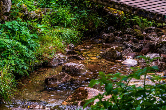 Rio Truchero en Bulnes, Picos de Europa.