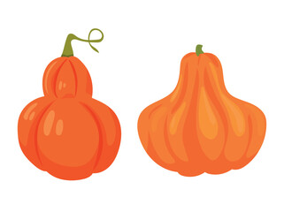 Pumpkins. Flat vector clipart, illustration with isolated background.