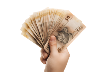 Close up of a hand holding a fan of banknotes.