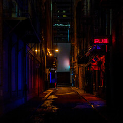 A narrow city alleyway at night, glowing with the red neon of a pub sign and reflecting on the wet pavement. © Jarrod