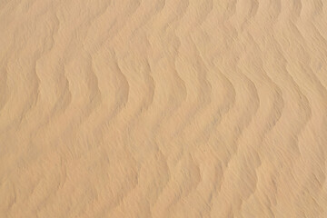 Naklejka premium A tranquil scene of rippled sand dunes with wavy patterns. Abstract natural texture from a desert landscape, ideal for a background.