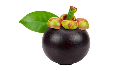 Obraz premium Isolated dark purple Mangosteen fruit with green leaf on a white background Product Shot