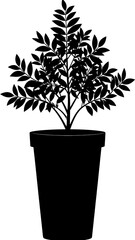 Obraz premium Simple plant in pot silhouette