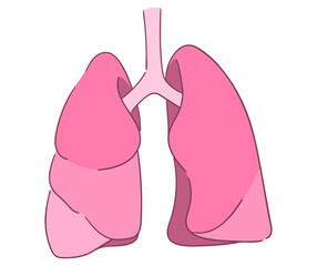 肺のイラスト