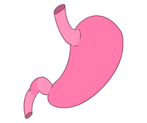 胃のイラスト