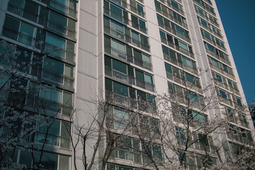 Busan high rise