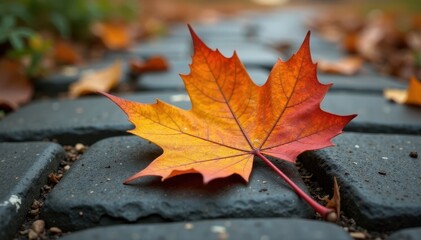 Crisp brown leaf on grey stone path, autumn's end , texture, season