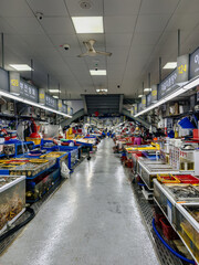 Fish market in Busan