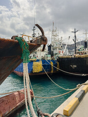 Harbor of Busan at the fish market