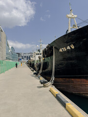 Harbor of Busan at the fish market