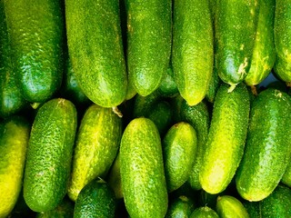 cucumbers in the market arranged in rows viewed from above 