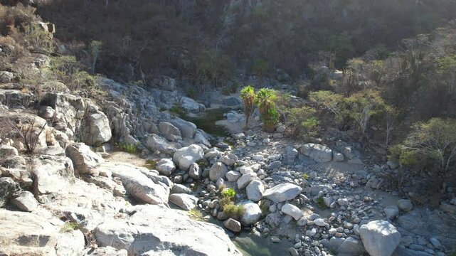 Aerial View of River Flowing Through Arid Valley with Palm Trees &ndash; Oasis Landscape in BCS, Mexico