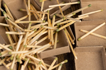 ripe orange eggplant sliced across with small seeds inside, ripe purple delicious eggplant sliced into fruit on the kitchen table