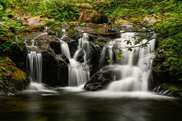 Obraz premium Upper Gatton Creek Falls, Quinault National Recreation System, Olympic National Park, Pacific Ranger District, US Forest Service, 