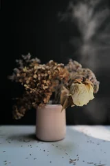 flowers. light summer day photography © Anna Ismagilova