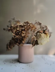 flowers. light summer day photography © Anna Ismagilova