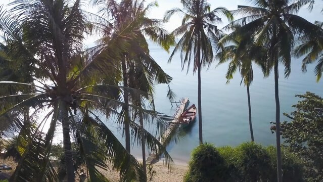 Discover breathtaking aerial views of Koh Tonsay, showcasing serene waters, swaying palm trees, and a peaceful beach at sunrise in this hidden tropical retreat.