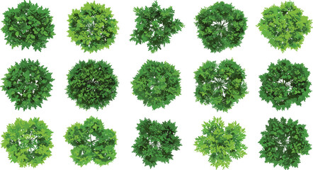 Top view green bush vector collection, cartoon foliage set, landscape design shrubs, garden decoration plants, natural greenery elements for map