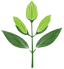 Obraz premium Abstract stylized green plant with buds and leaves graphic
