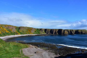 Seascape with a Bay and Towering Sea Cliffs