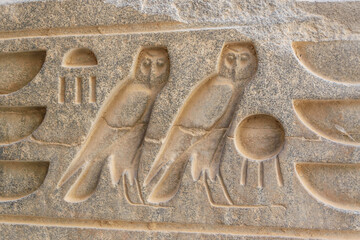 Ancient Egyptian Owl Hieroglyphs Carved in Stone
