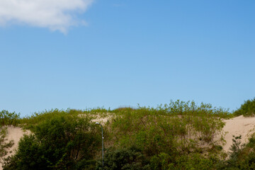 Natural sand dunes with scattered green vegetation and a clear blue sky, capturing a peaceful summer landscape in daylight.