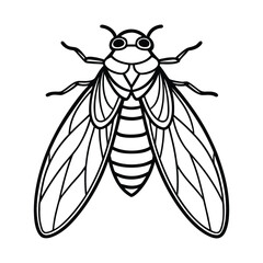 Intricate Cicada Line Art Design for Coloring and Artistic Projects