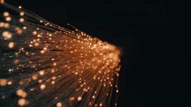 Fiber Optic Light Streams