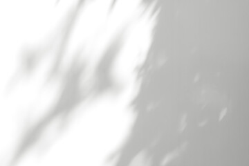 Shadow leaves and light on white background,Soft fous of nature organic sunlight overlay on white plastic wall baclground