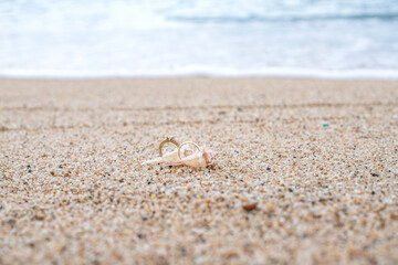 Endless love, rings on the sea background. Romance, background with place for an inscription. Wedding card