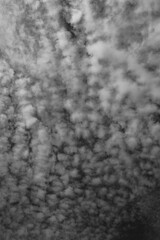 Dramatic abstract black and white clouds 