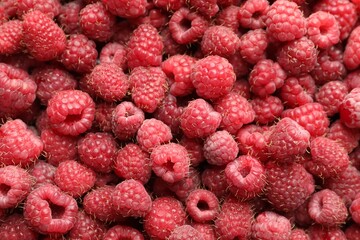 Many fresh ripe raspberries as background, top view