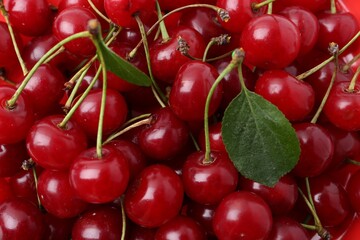 Fresh ripe red cherries as background, closeup