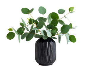 Elegant black vase with fresh green leaves 
