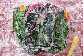 Frozen colourful mangold thaws out